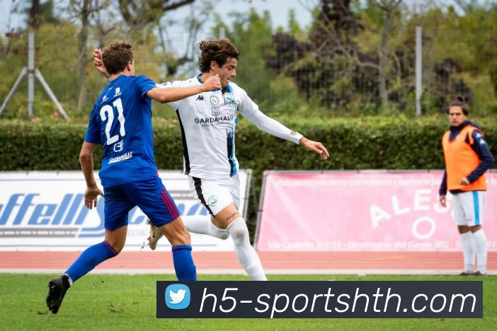 华体会体育平台生态图