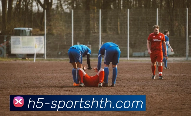 华体会体育APP 封面图